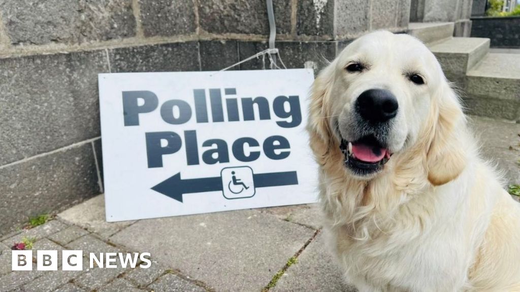 Hamilton, Larkhall and Stonehouse by-election