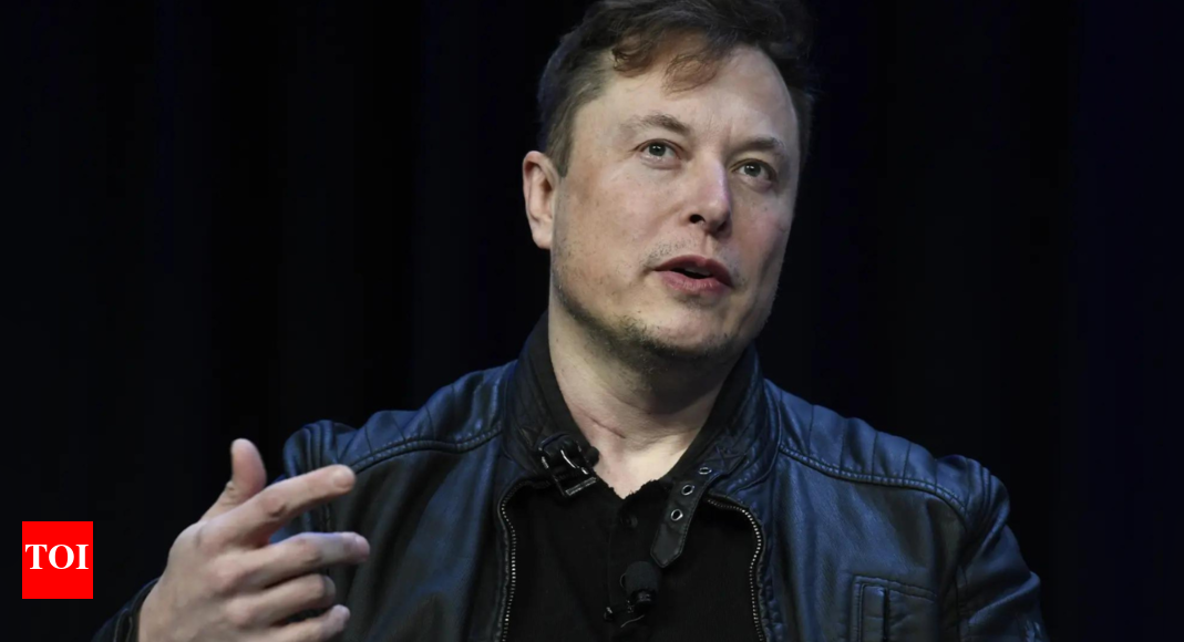‘Trees Not Tesla’: Australian city’s protest ignites a war over environment- and Elon Musk