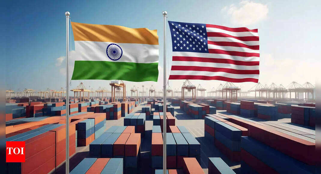 Full India-US trade pact may take time; govt awaits clarity on Trump’s policy | India News