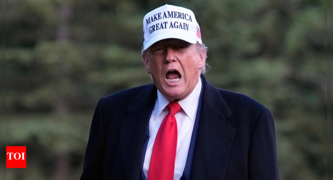Trump declares war on ‘millions upon millions’ illegal immigrants in US cities