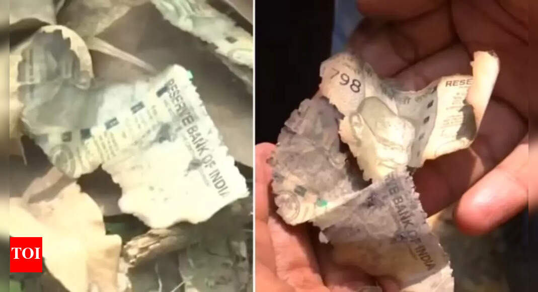 Liquor fuelled fire at judge’s house that burnt cash: Report | India News