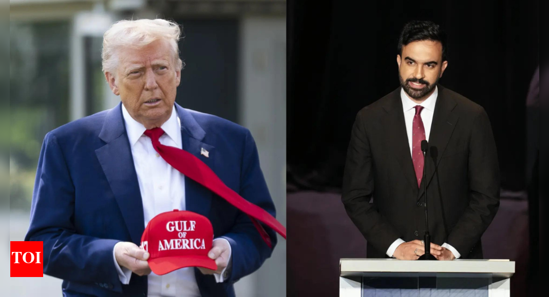 ‘100% communist lunatic’: Trump slams Indian-American Zohran Mamdani after NYC primary win; mocks Democrats