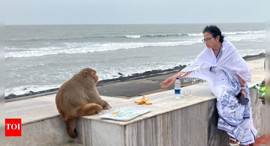 ‘Tea by the sea’: West Bengal CM Mamata Banerjee’s photo with monkey goes viral – see pics | India News