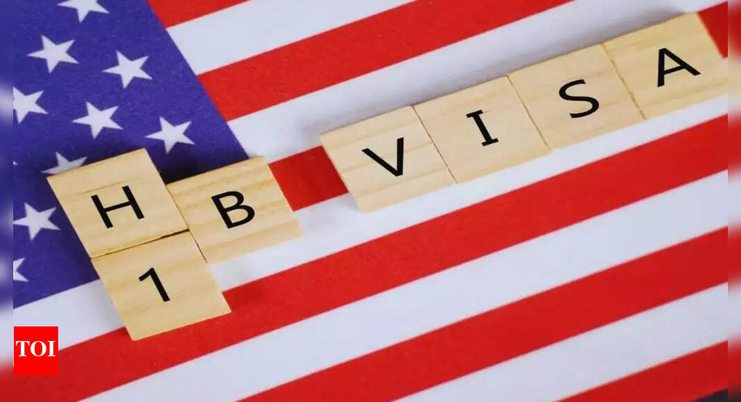 ‘Not Canada’: H-1B Redditor says US company not sponsoring green card, gave 1 year time to look for job
