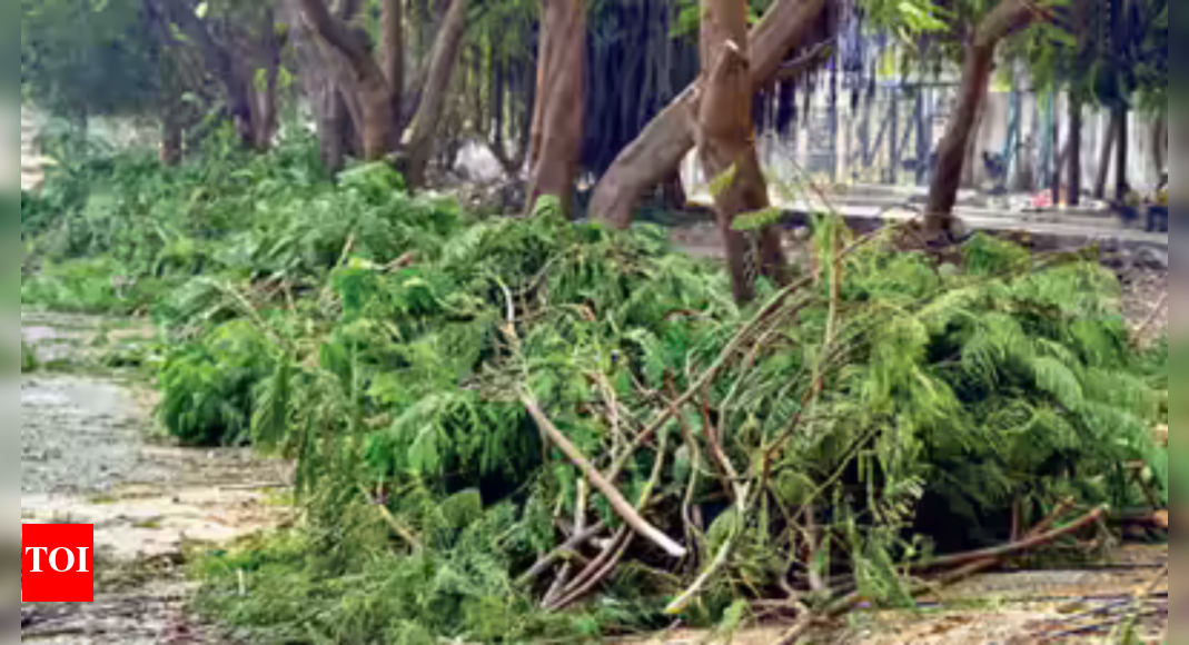 Green min outlines rules for felling of trees in agri land | India News