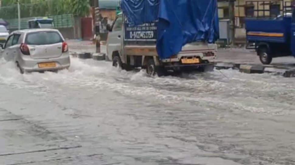 Rain Triggers Inflows In 206 Dams In Gujarat; 8 Overflowing, 14 On High Alert | India News