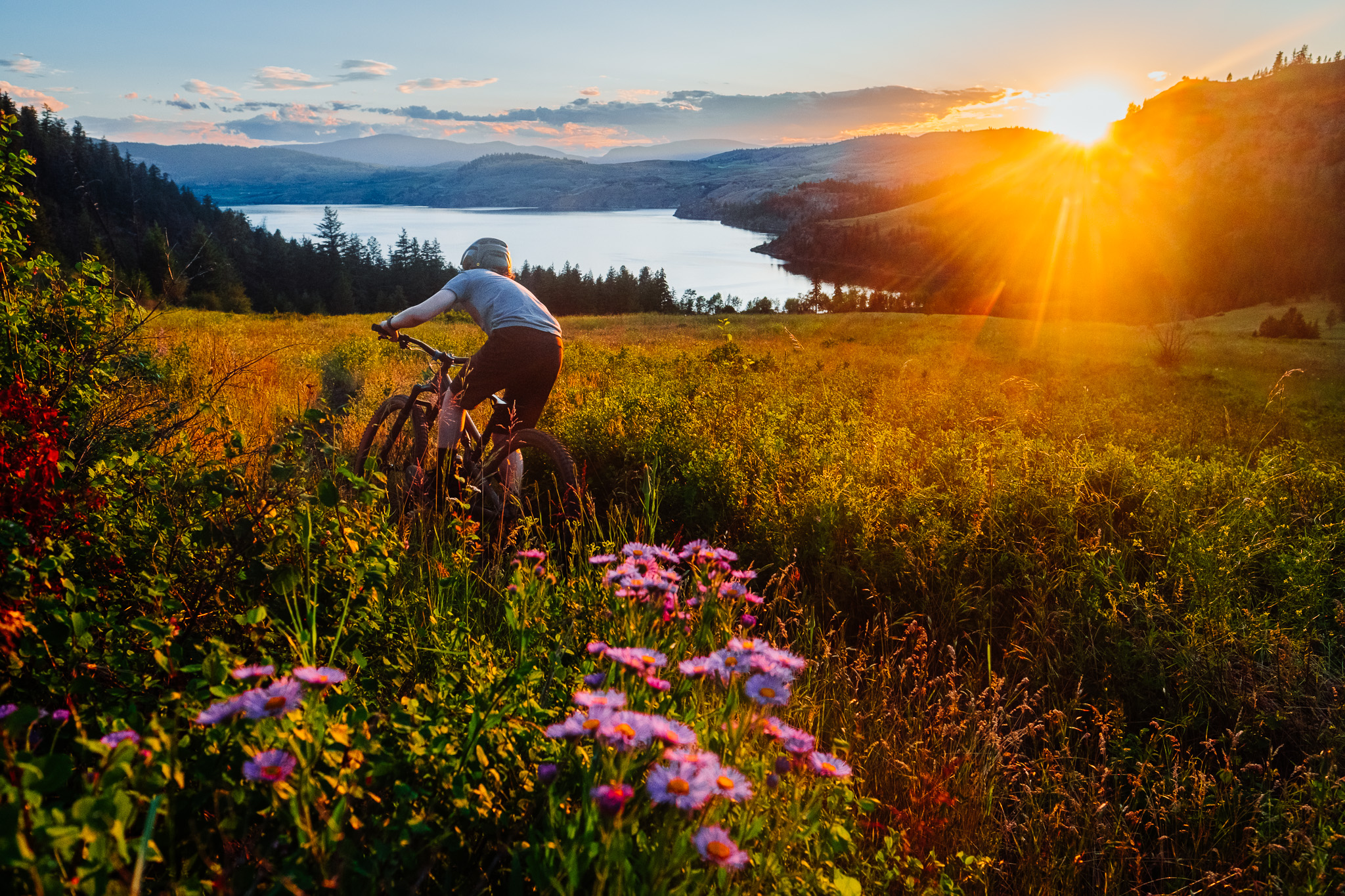 The town of Vernon bills itself as the ‘Trails Capital of BC.’ Its mountain biking lives up to the hype.