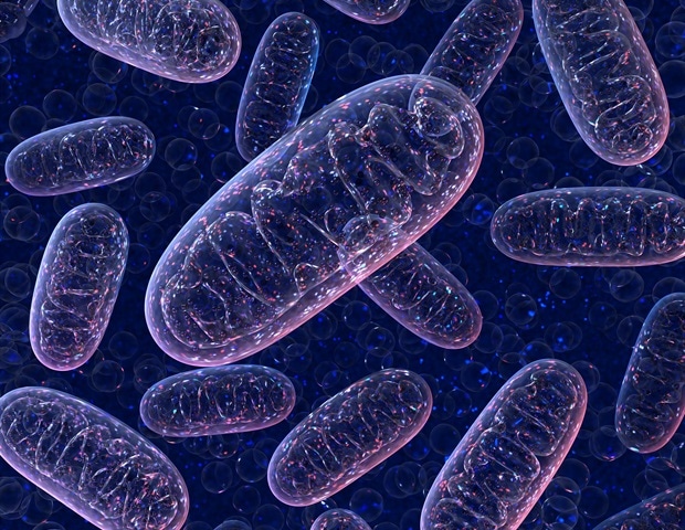 Researchers identify cellular hotspots that trigger ferroptosis