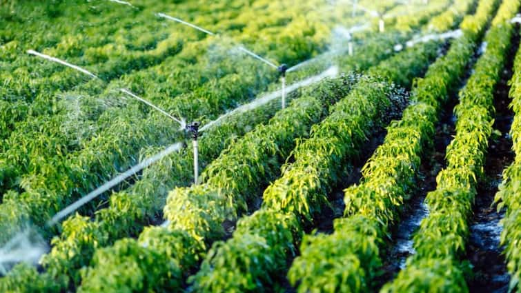 No Plan To Levy Water Charges On Farmers, Says Centre Amid Misinformation Reports