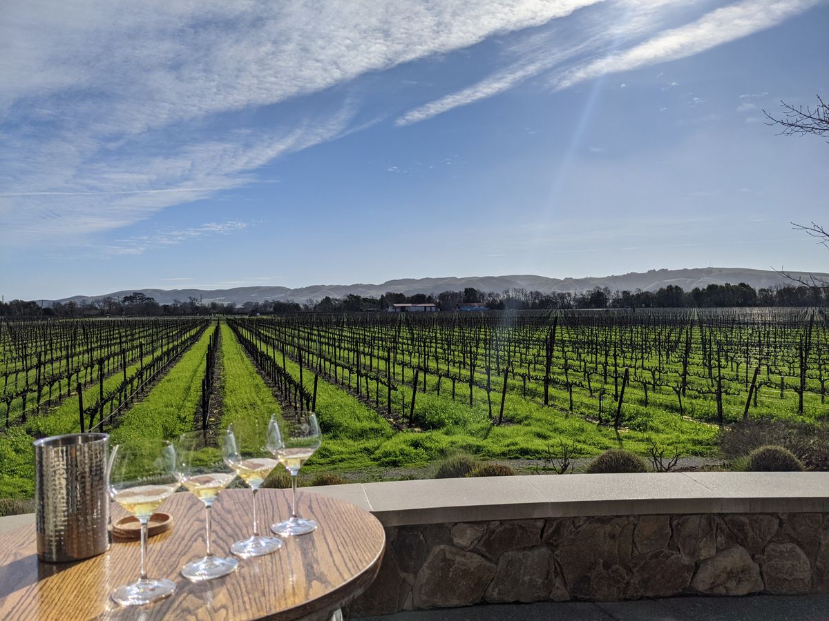 A Kid-Friendly Itinerary for Sonoma