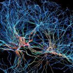 From chatbots to collaborators: How AI agents are reshaping enterprise work