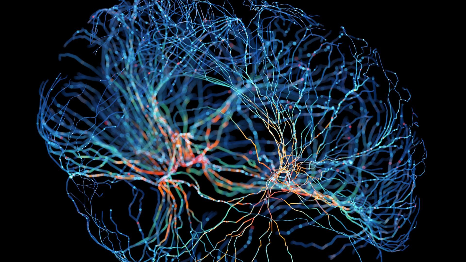 This Survey Asked Neuroscientists If Memories Can Be Extracted From the Dead. Here’s What They Said