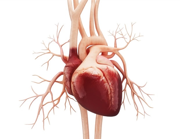 New expandable heart valve offers hope for young children with heart defects