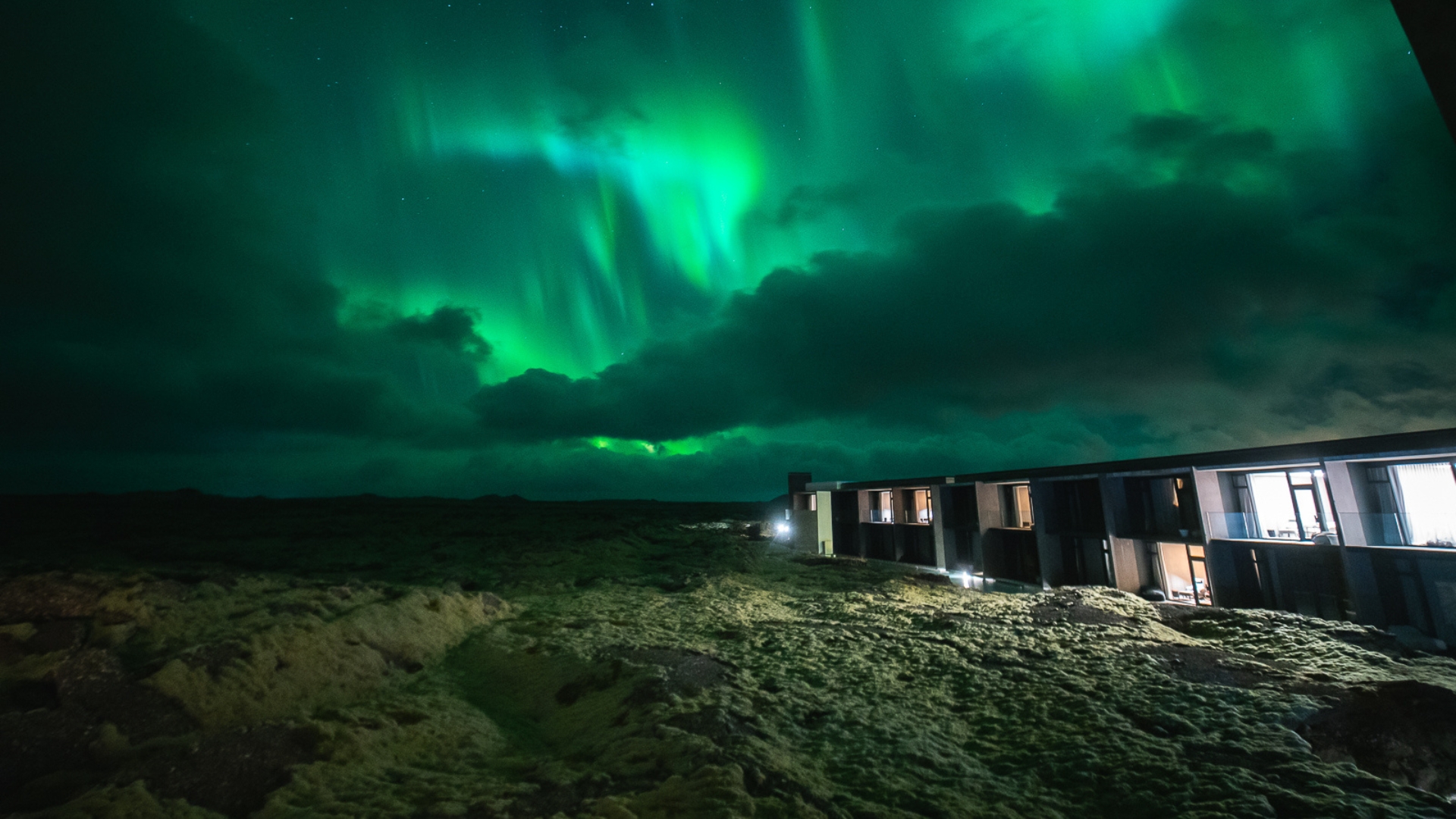 Discover Noctourism: 12 Thrilling After-Dark Adventures