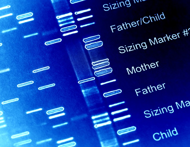 Expanding the genetic code in mammalian cells using pseudouridine modified codons