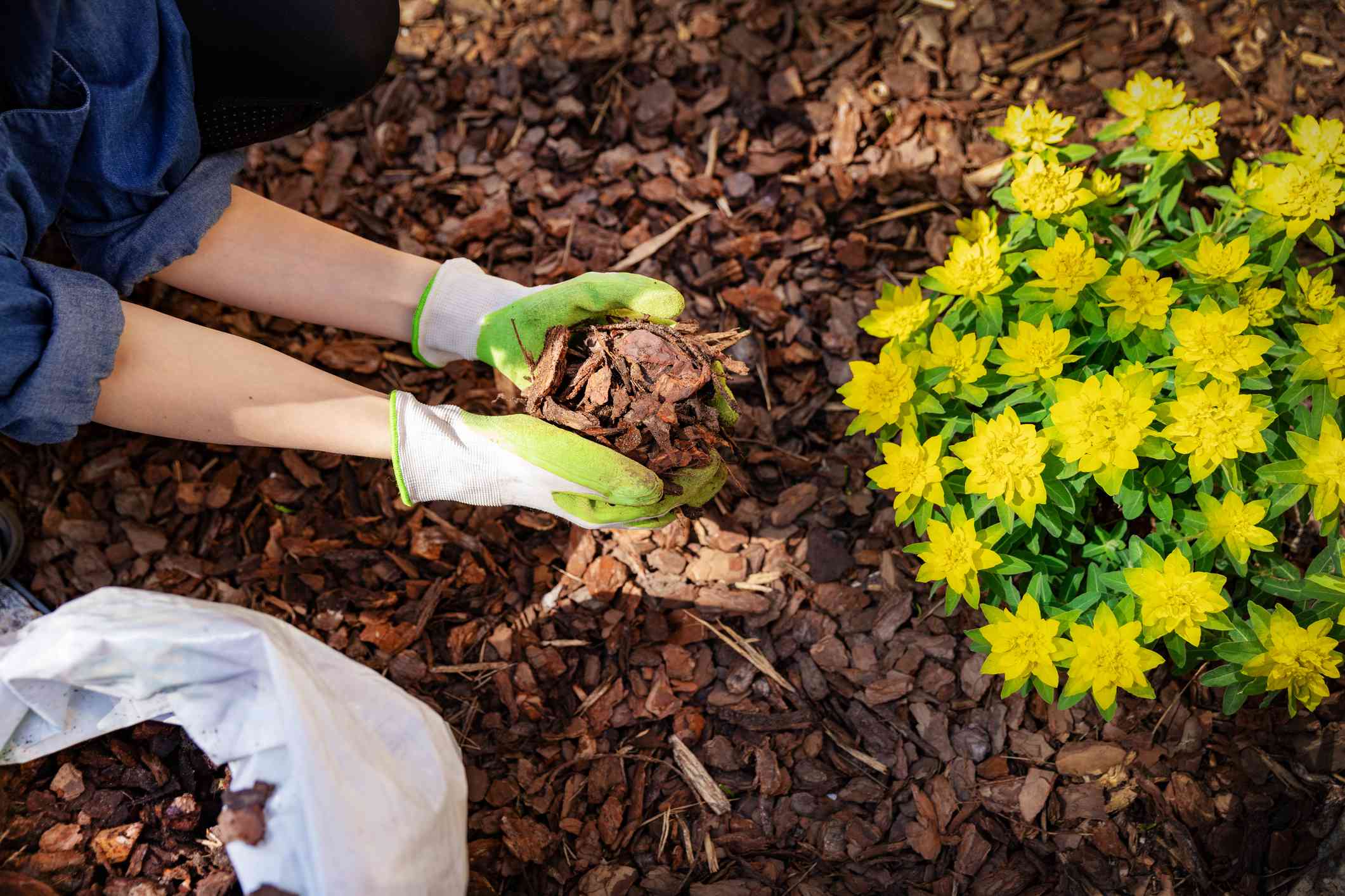 Can You Reuse the Same Mulch Every Year? We Asked a Landscaping Pro
