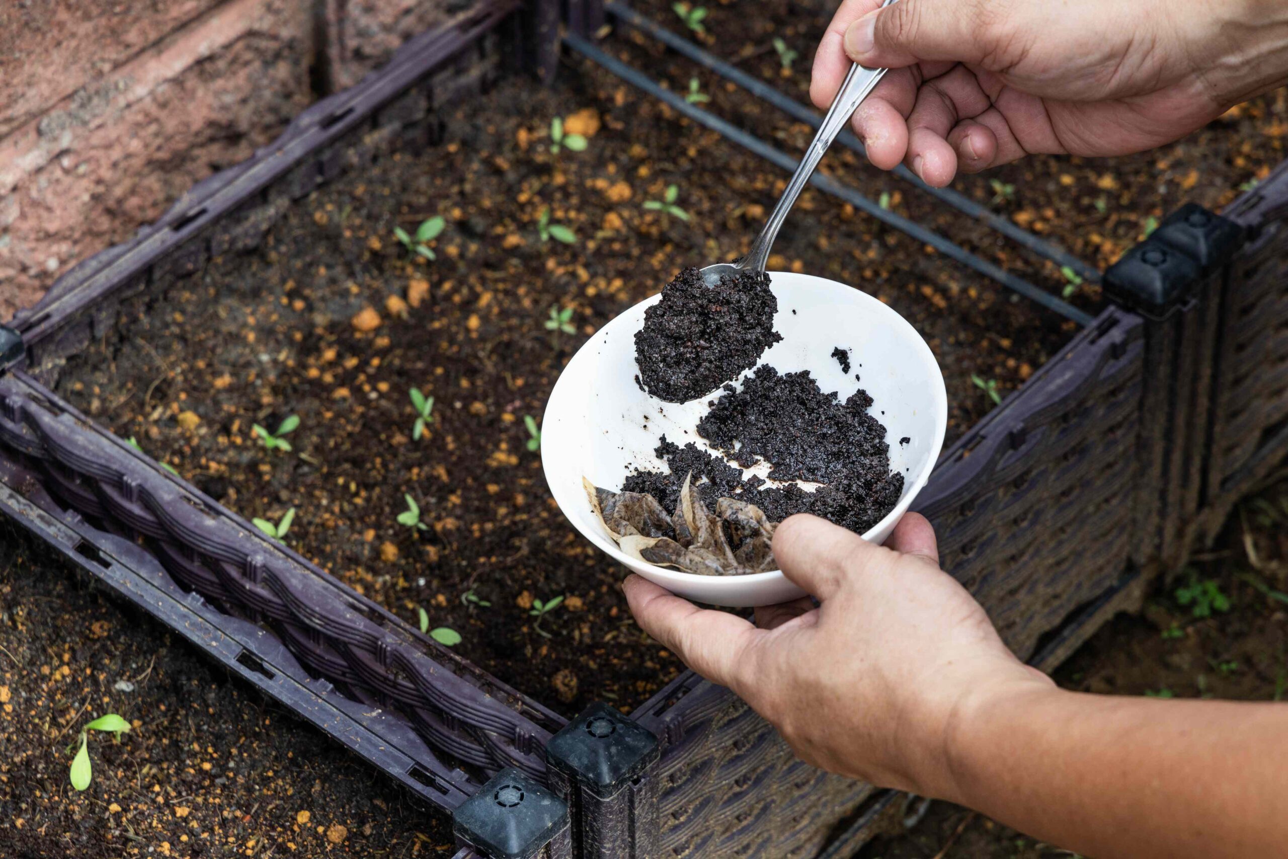 Using Coffee Grounds in the Garden Can Give Your Soil a Boost—Here’s How