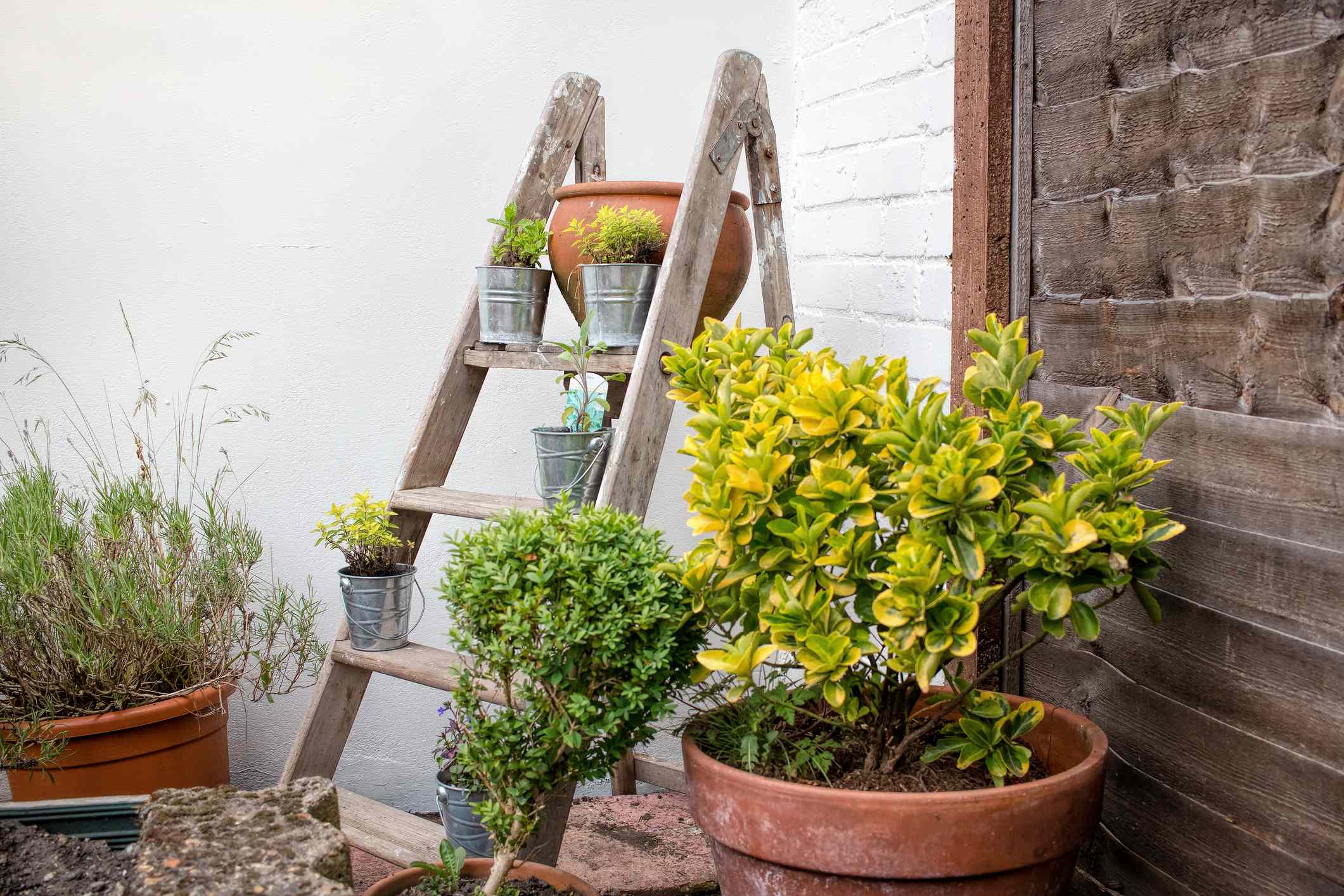 9 Items You Have Lying Around That Actually Make Great Outdoor Decor