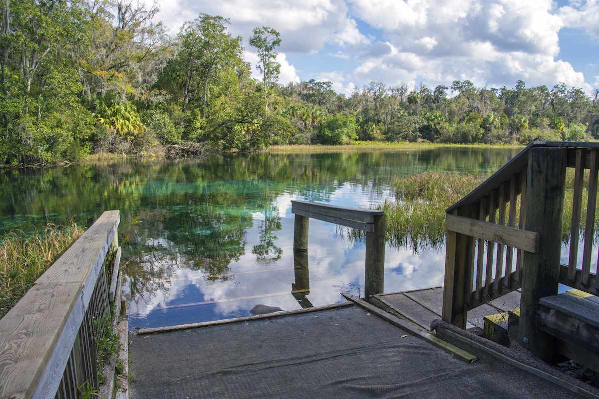 Rainbow Springs State Park: The Complete Guide