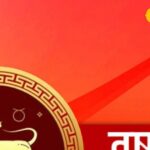 WACE of Australia is 1st foreign government-backed board in India | India News