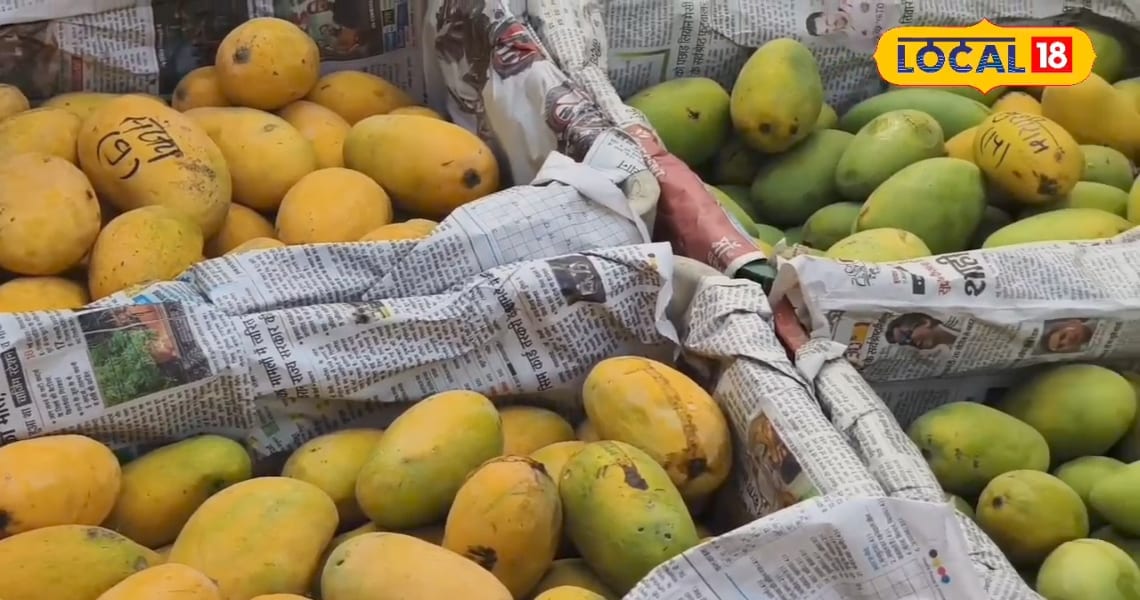 किसानों की हुई बल्ले-बल्ले, इन किस्म के आमों की विदेश तक डिमांड, खूब हो रही मांग