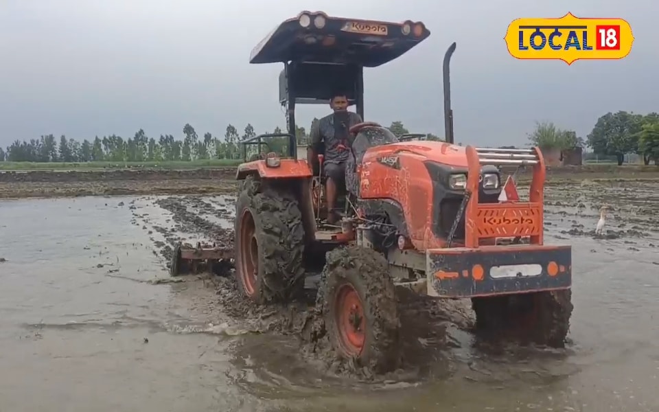 ऐसे करें धान की खेती, फसल होगी बंपर, हो जाएंगे मालामाल, एक्सपर्ट ने बताया फार्मूला
