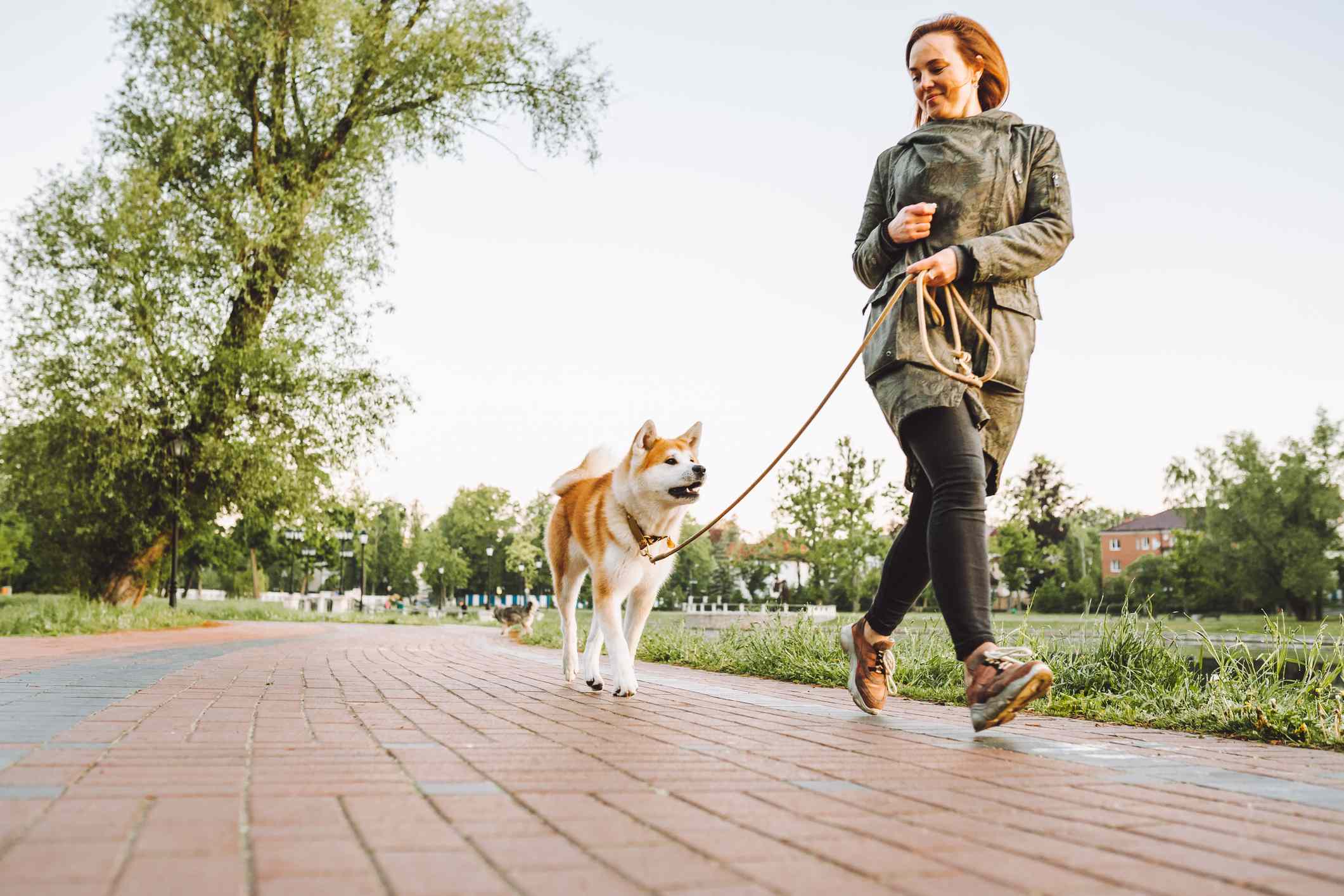 What Happens to Your Blood Pressure When You Walk Every Day?