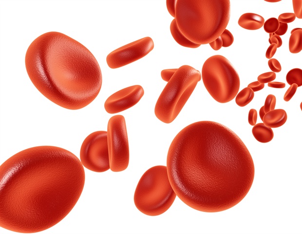 Rapid generation of functional blood vessels from human stem cells