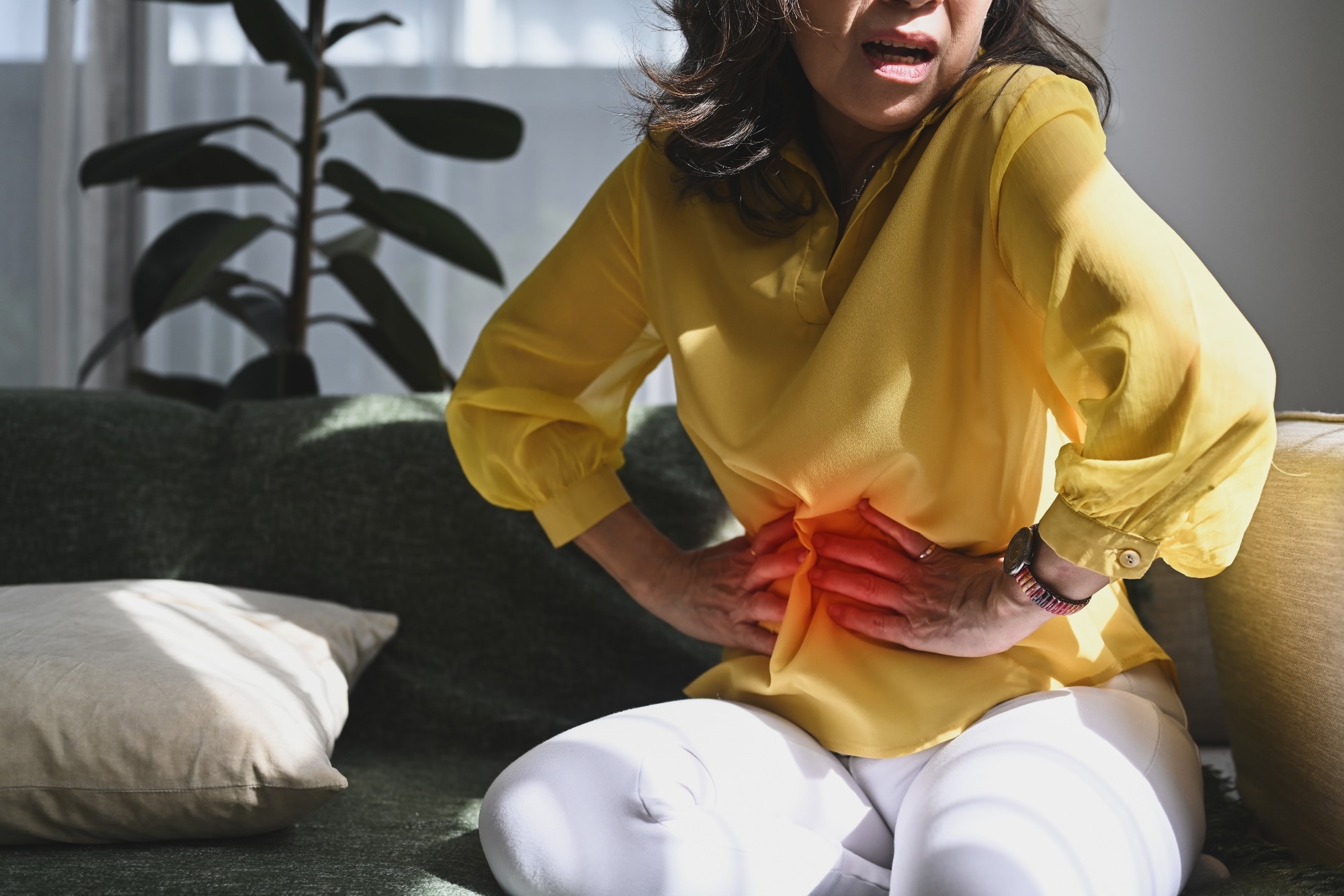 Estrogen-responsive cells found to heighten gut pain in females