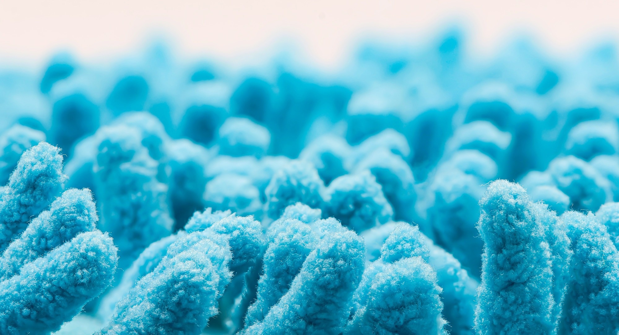 Gut microbe emerges as a promising tool in the fight against COVID-19