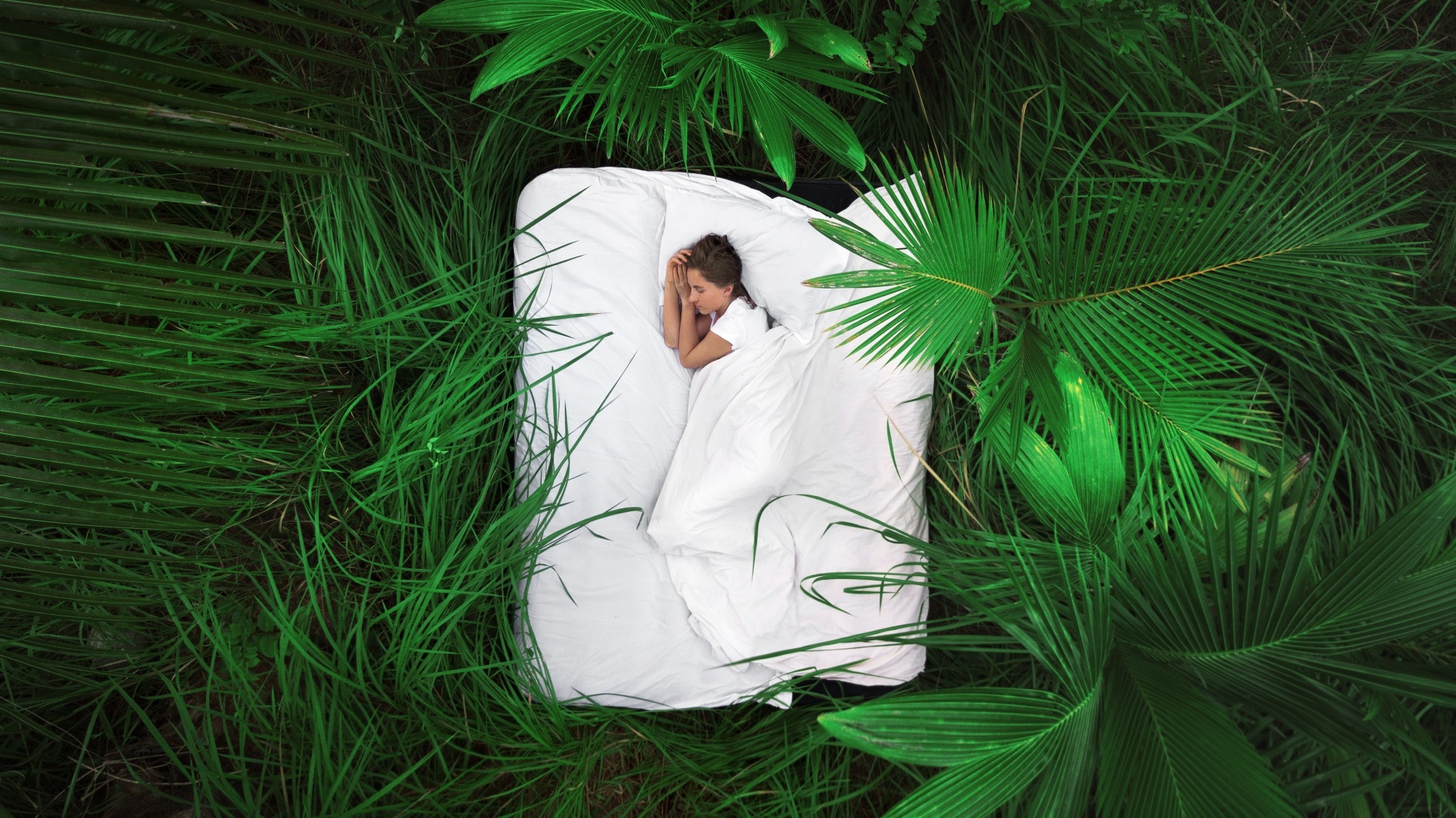 N2 deep sleep powers your next aha moment, study reveals