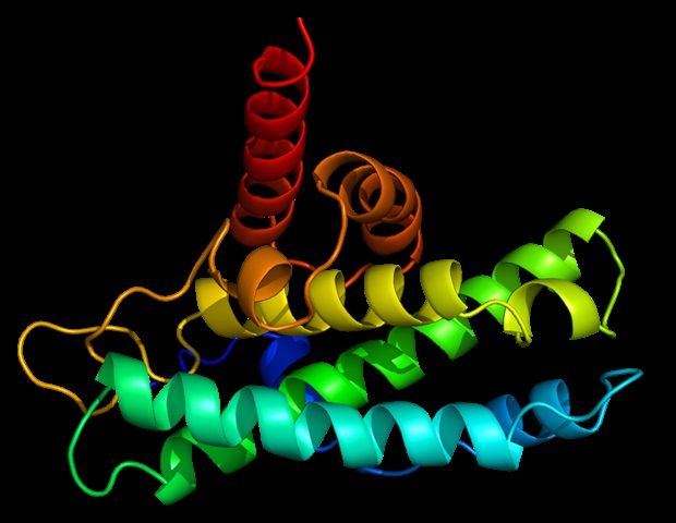 New large-scale study maps early triggers of Alzheimer’s protein aggregation