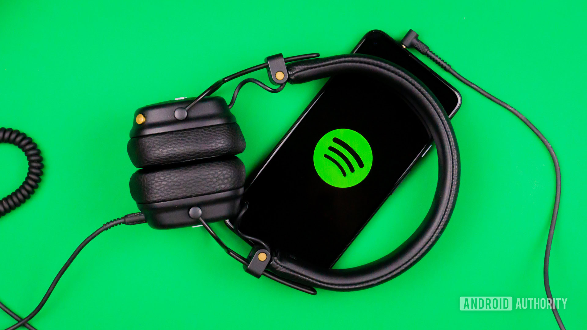 Spotify’s long -awaited faulty level shows signs of life again