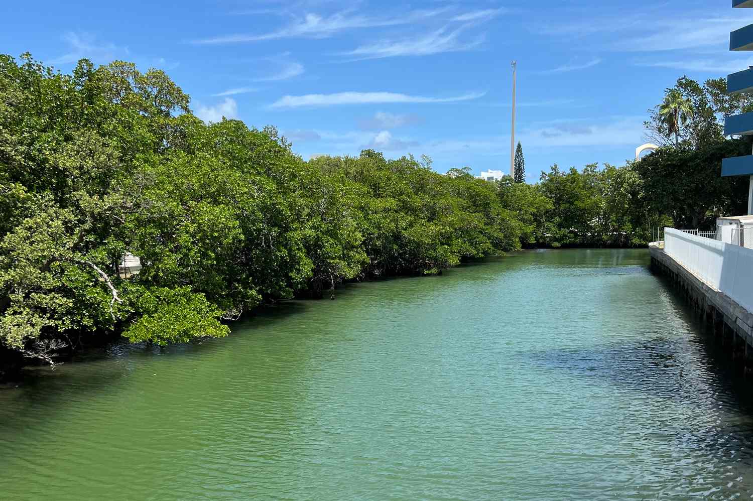 This Miami Beach Has the Highest Bacteria Rates in Florida