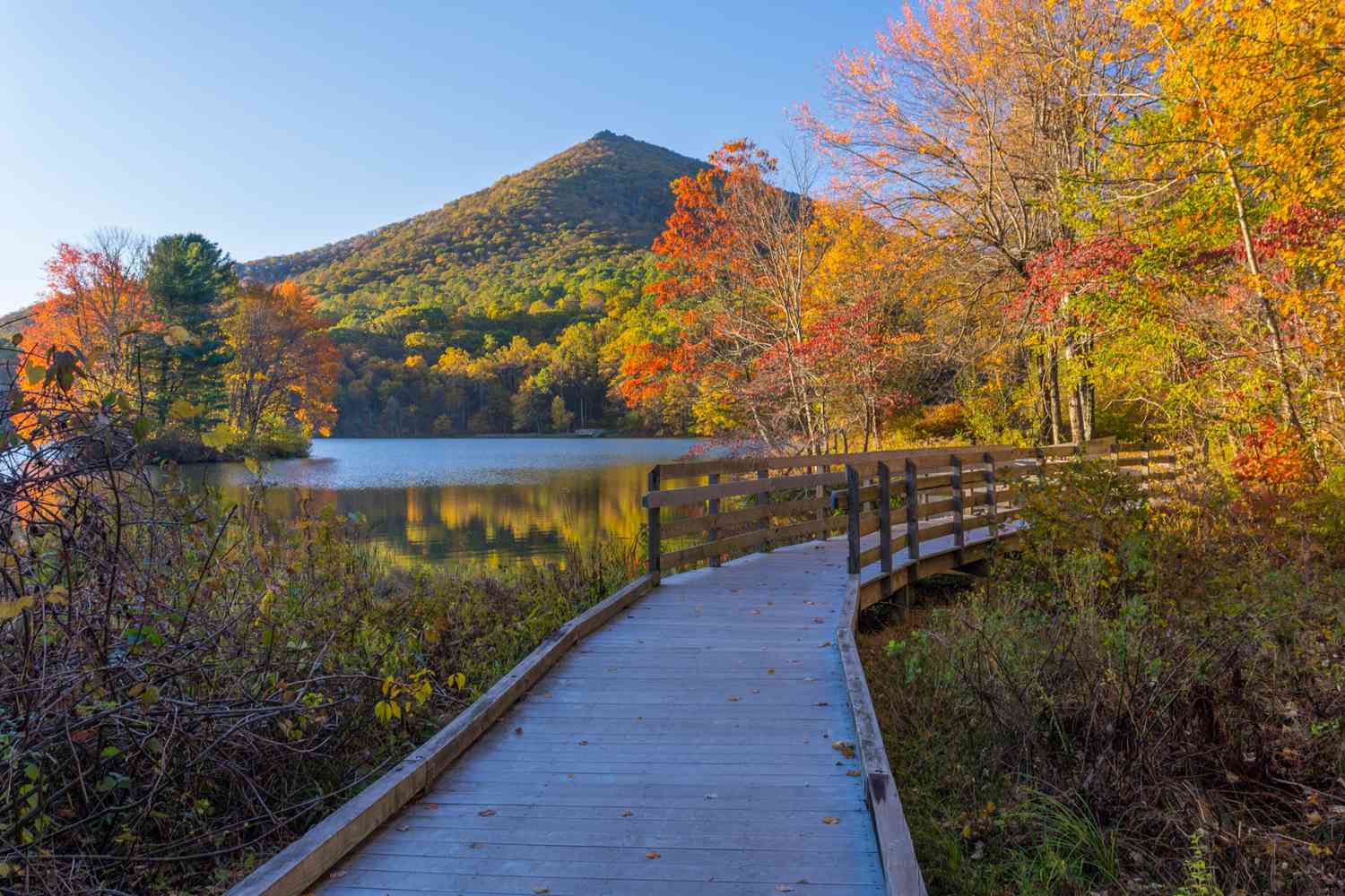 I've Lived in Virginia for 23+ Years—and This Small Town Is One of My Favorite Hidden Gems I've Lived in Virginia for 23+ Years—and This Small Town Is One of My Favorite Hidden Gems
