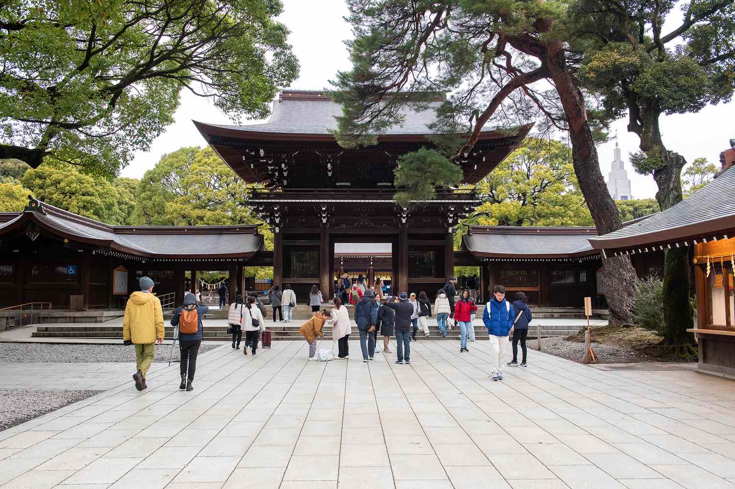 I’ve Lived in Tokyo For 20 Years and This Is My No. 1 Travel Tip