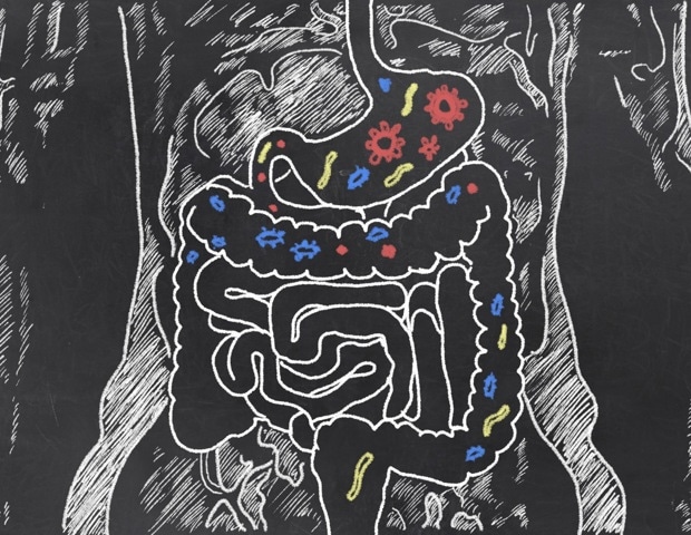 Cognitive decline tied to gut microbes and nutritional access