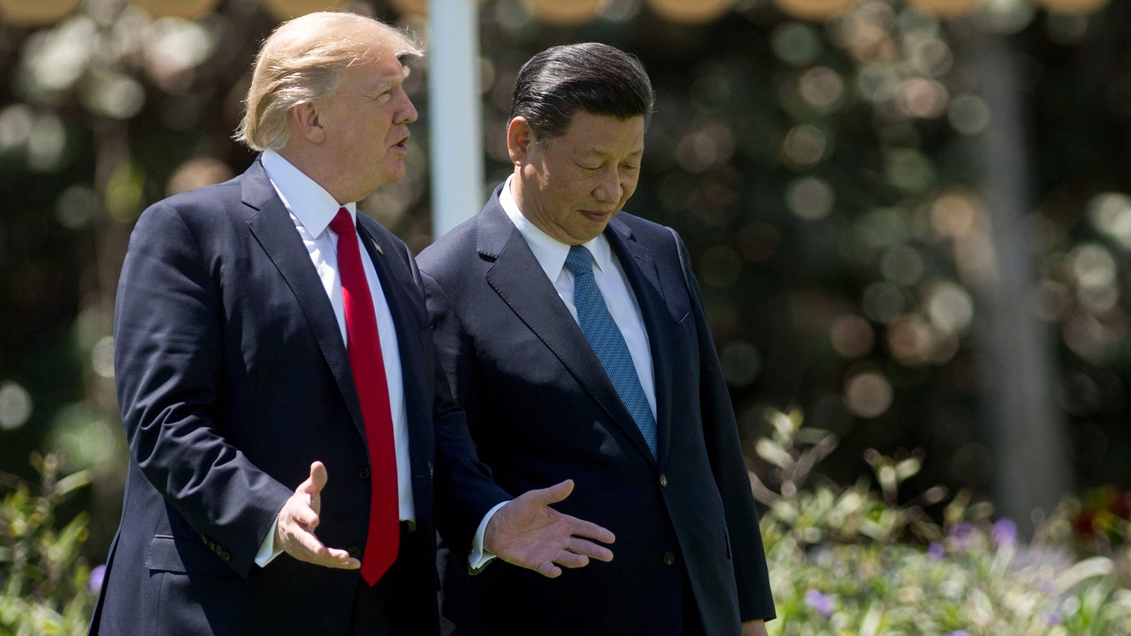‘It’s a group of…’; Trump reveals who will buy TikTok, but says he needs China’s Xi Jinping’s approval