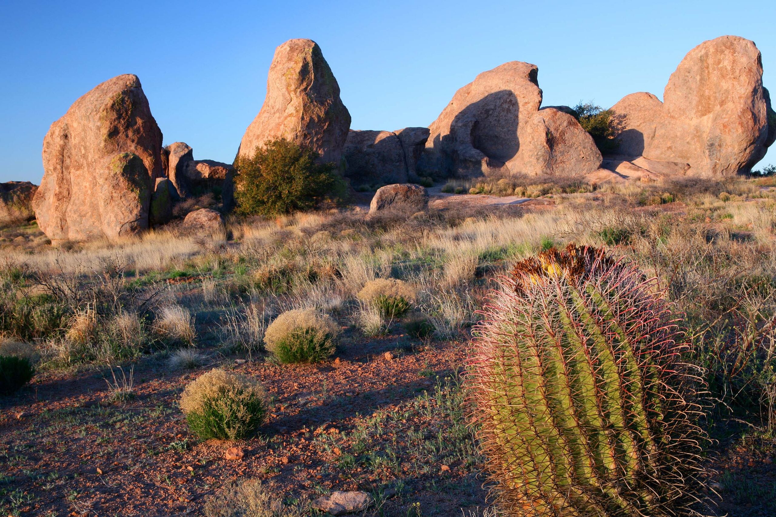 Free Lifetime State Parks Pass: New Mexico Honors Veterans