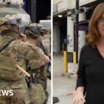 Did Elon Musk hit Scott Bessent? White House press secretary Karoline Leavitt dismisses report; calls it ‘robust disagreements’