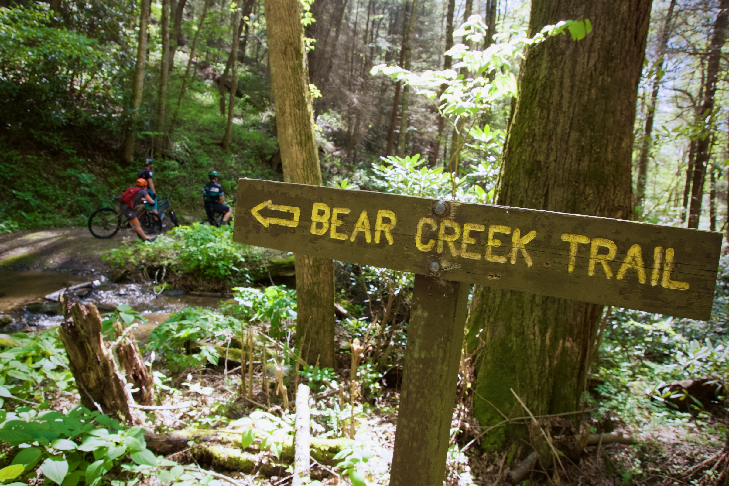 5 of the best mountain bike trails in Georgia
