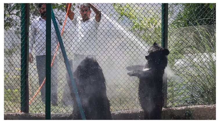 Ganganagar Becomes Hottest At 48°C, IMD Forecasts Relief Over Weekend