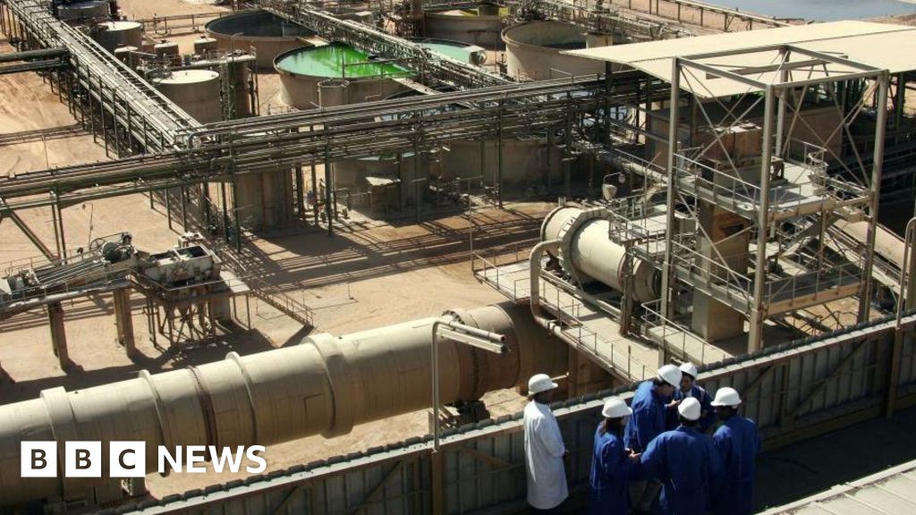 Niger military leaders to nationalize uranium firm Somor