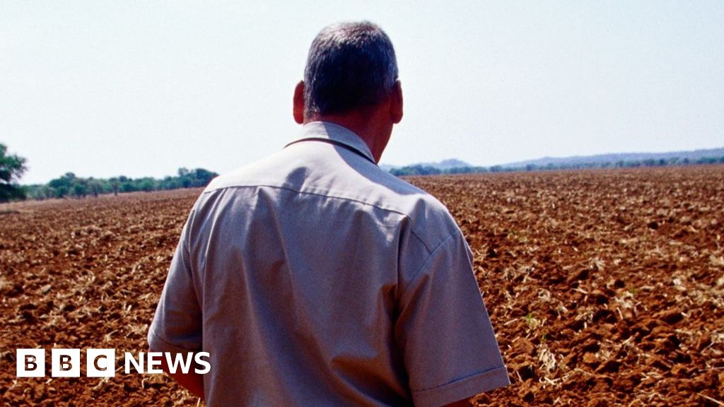 Zimbabwe cultivation on 25 years: No deal or any deal?