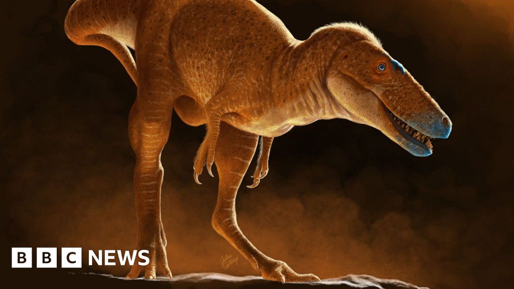 New species of dinosaurs found that ‘T. REX writes the Family Tree again