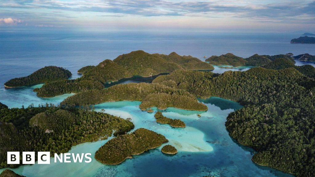 How to put a race for electric vehicles at risk a sea heaven