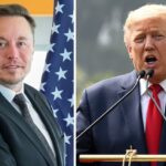 ‘Big Beautiful patchup?’ Elon Musk expresses regret over linking Donald Trump to Jeffrey Epstein; social media reacts