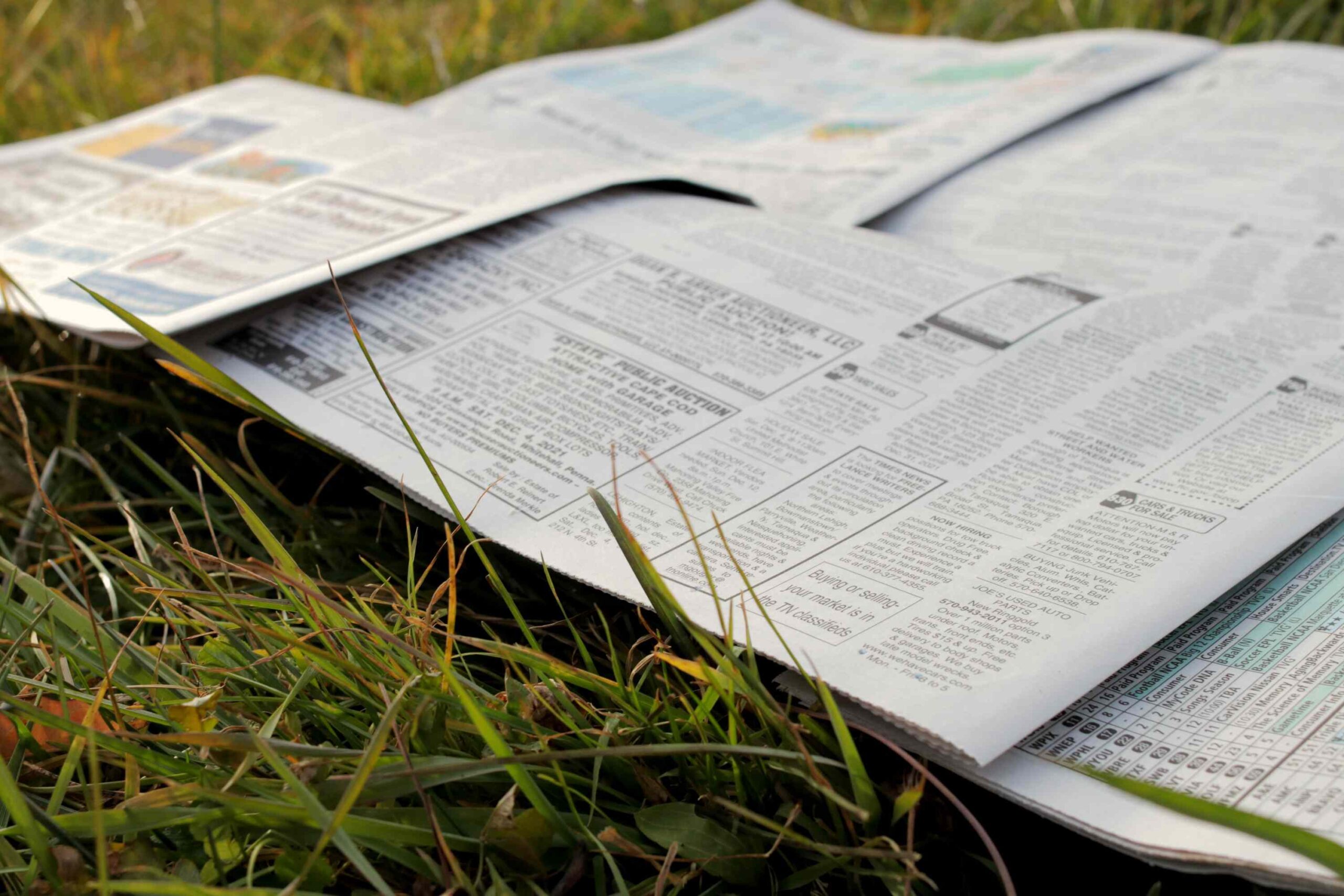 5 Ways to Reuse Old Newspapers in Your Garden You Never Thought of