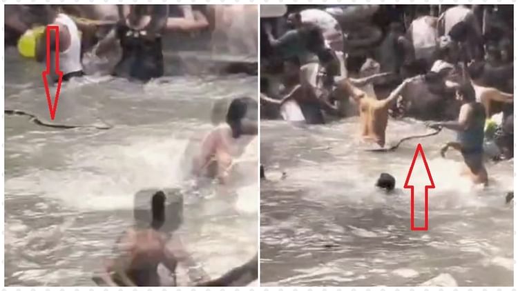 Chaos In Kempty Falls A Snake Appeared Among Tourists Bathing In Lake – Amar Ujala Hindi News Live