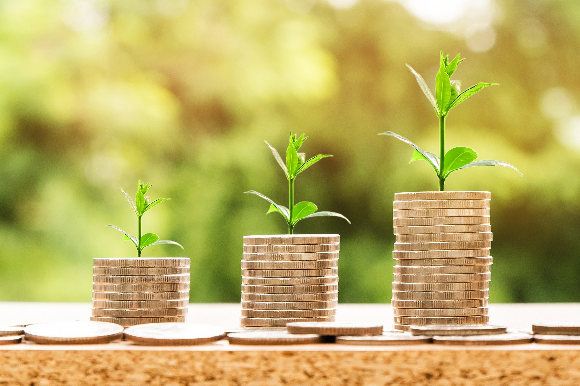 Investing 101: It's All About Diversification Investing 101: It's All About Diversification